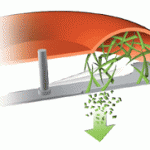 mulching-the-grass mulching-the-grass