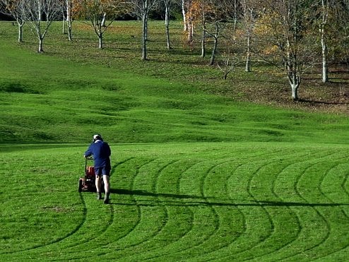 Lawn Care Advice and Tips