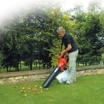 Which Leaf Blower: Choosing a Leaf Blower