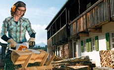 stihl chinsaws - using at home