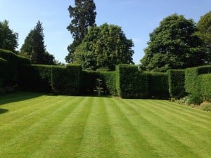 garden-550434_640