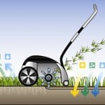 Why scarify or aerate your lawn?