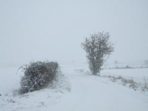 Snow Removal Machines: Be Prepared