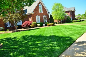 lawn-care-643561_640