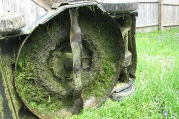 grass-on-mower