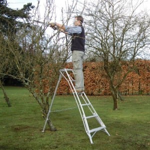tripod_pruning_small_bush1