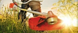 brush-cutting-clearing