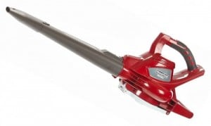 mountfield-blower