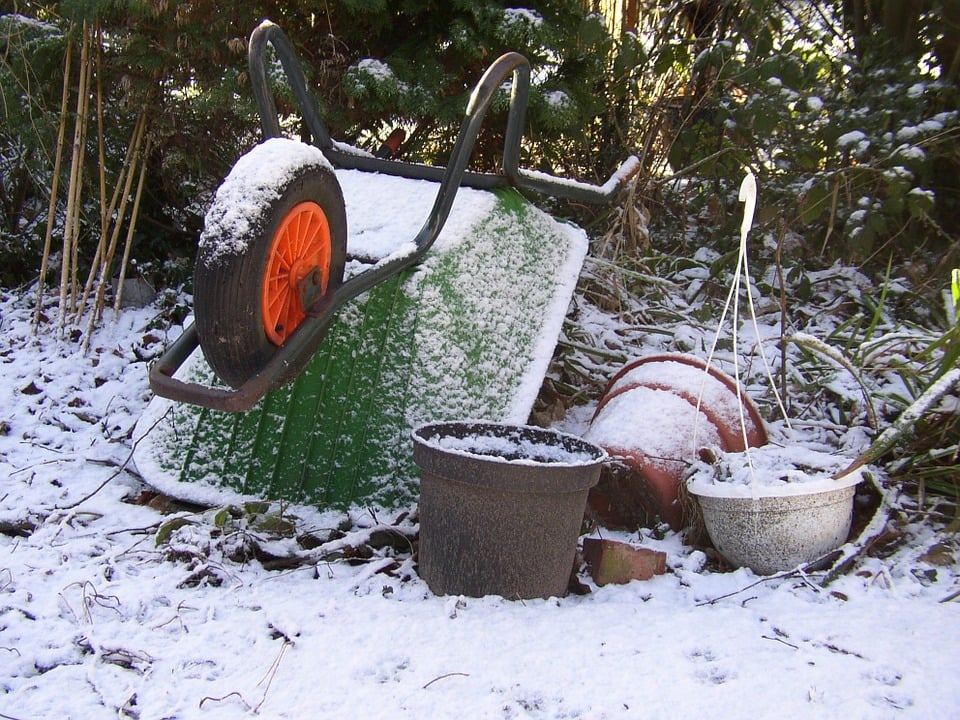 December…a handy list of things to do and a list of 5 ideas for Christmas presents!
