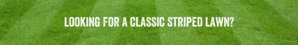 Looking for a classic striped lawn?
