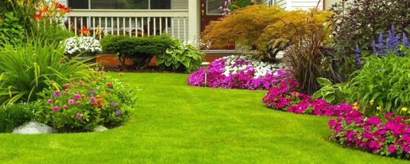 How can I get my lawn looking it’s very best after the winter?