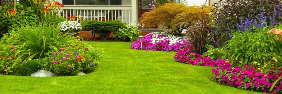 How can I get my lawn looking it’s very best after the winter?