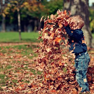 Autumn Gardening Jobs