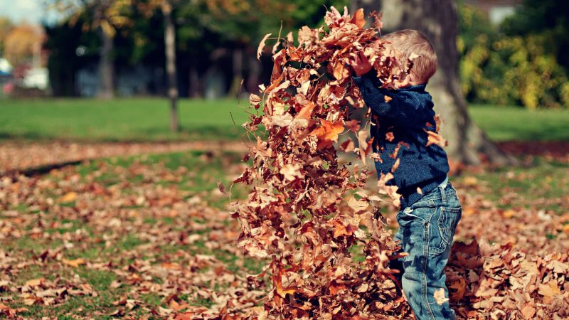 Autumn Gardening Jobs