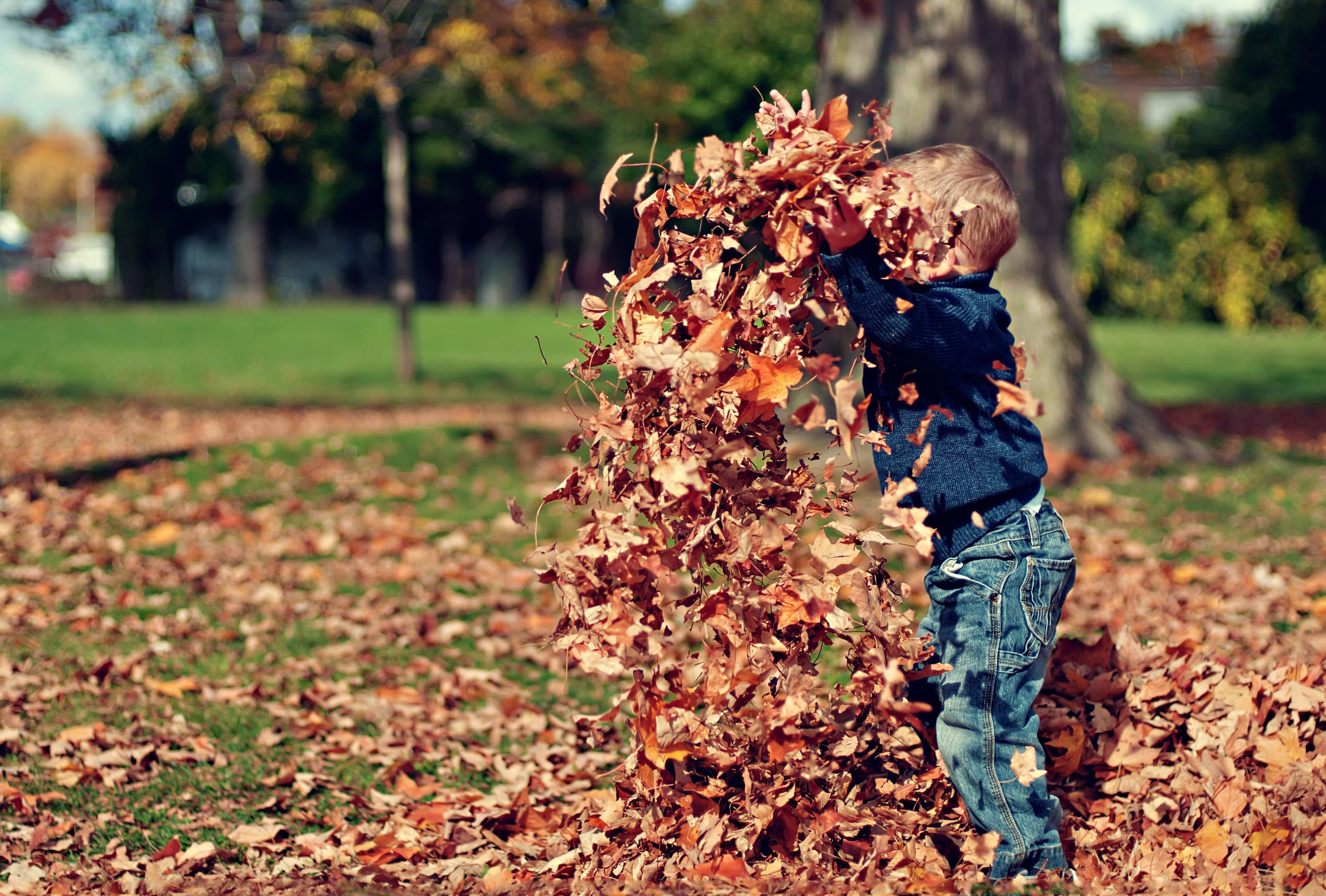 Autumn Gardening Jobs
