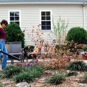 5 “must do” jobs in your garden before WINTER!