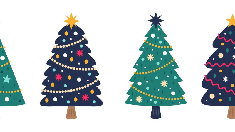 Choosing a Christmas Tree
