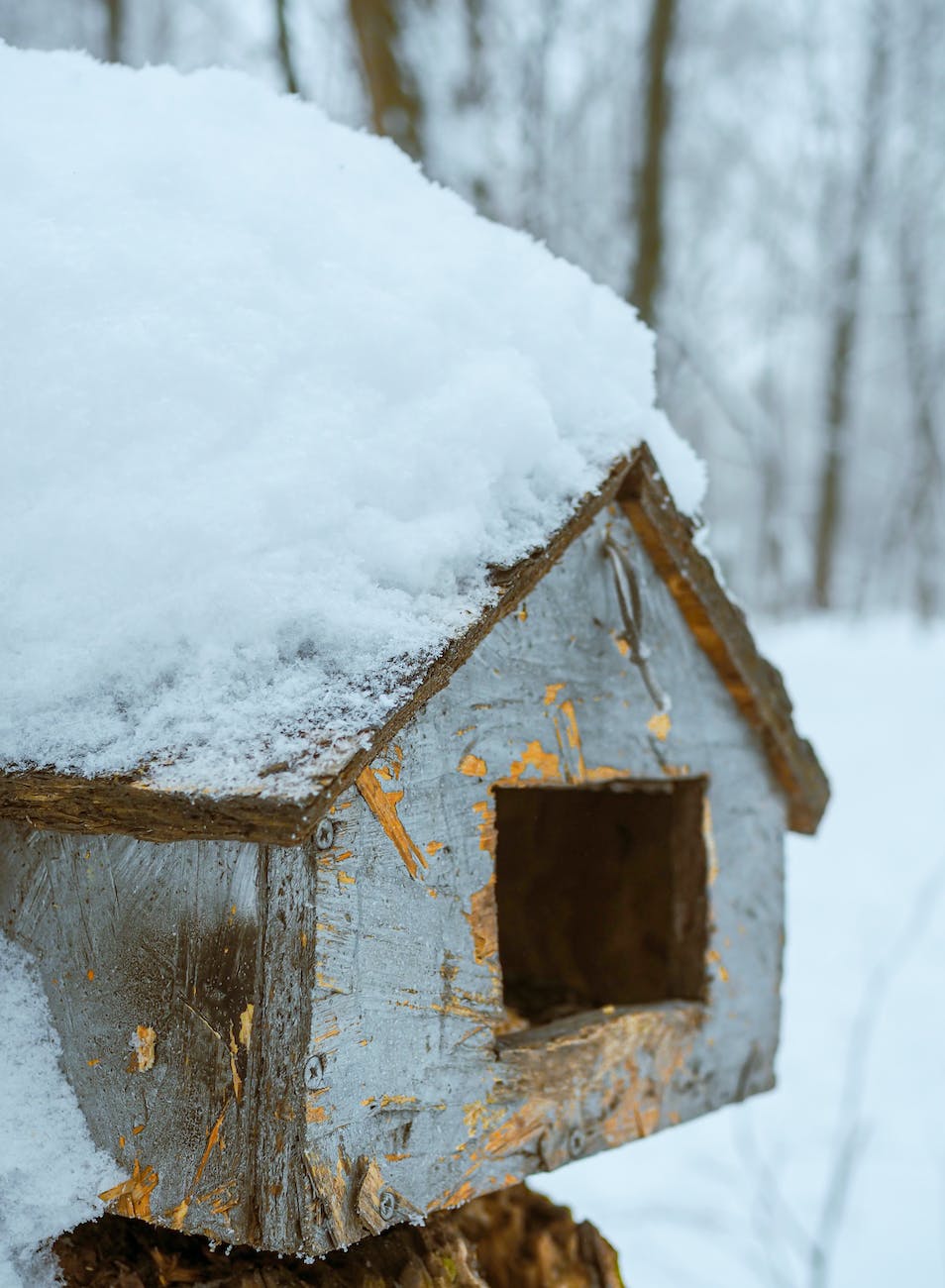 wooden bird feeder in snow