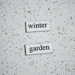 Christmas/Winter Gardening