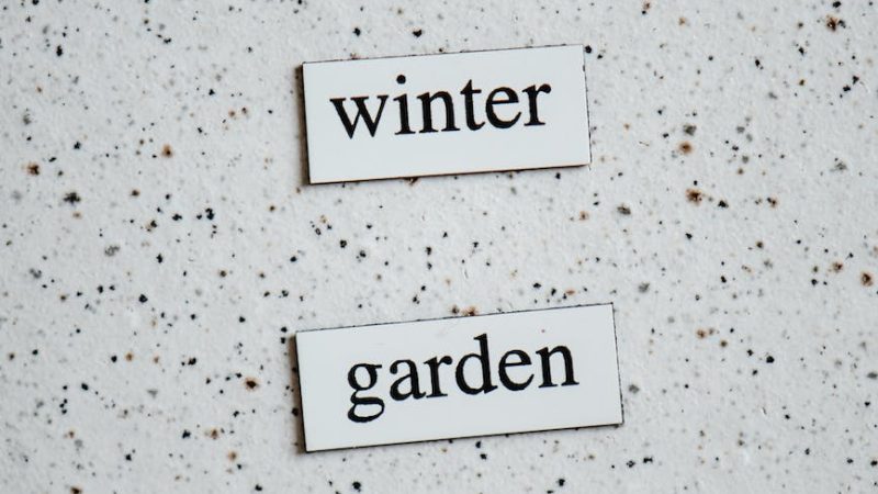 Christmas/Winter Gardening