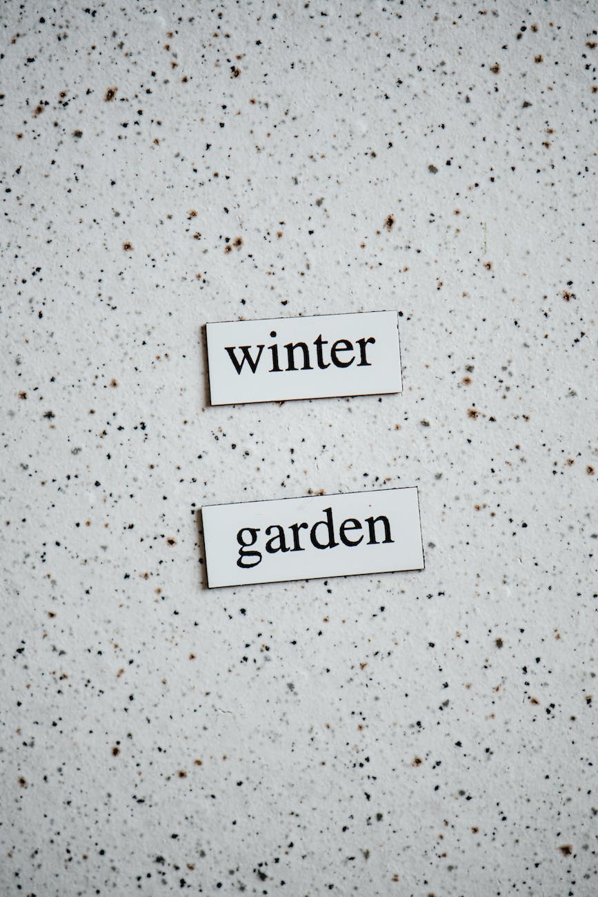 Christmas/Winter Gardening