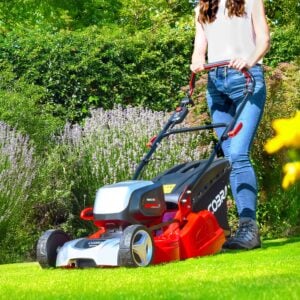 Stripes of Success: How to Get a Professional Finish on Any Lawn