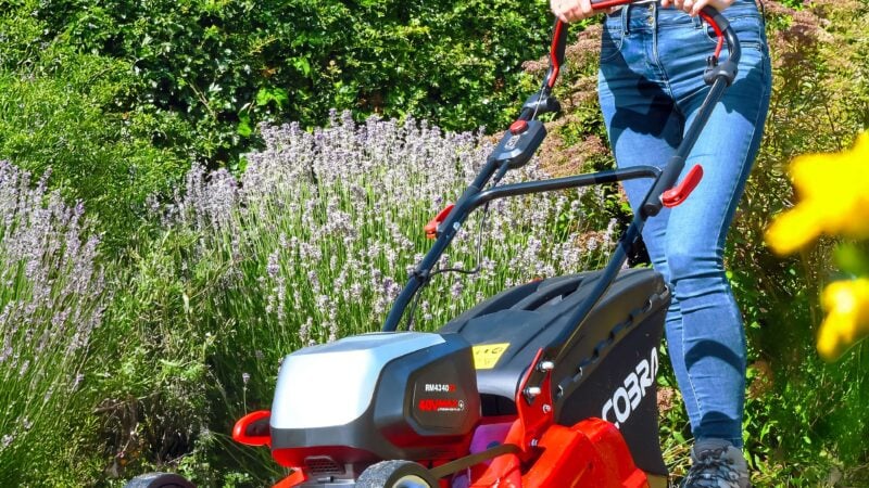 Stripes of Success: How to Get a Professional Finish on Any Lawn