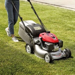 Summer Survival Guide: Managing Your Lawn During a Heatwave