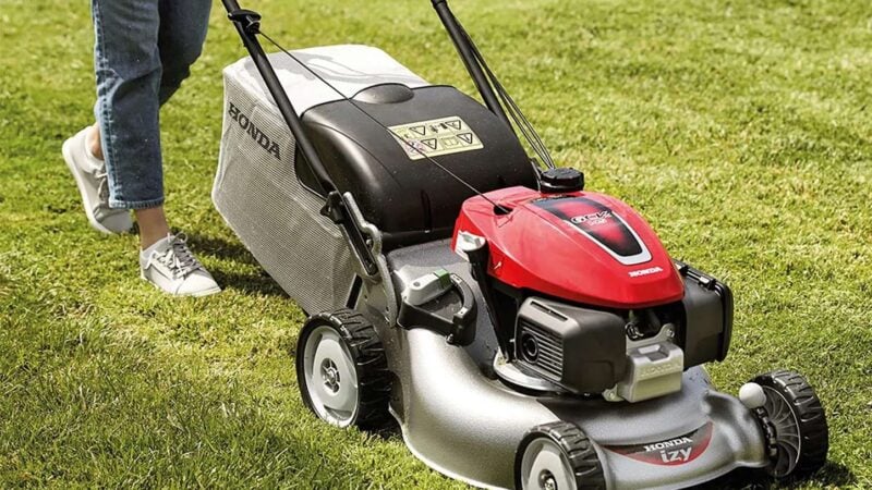 Summer Survival Guide: Managing Your Lawn During a Heatwave
