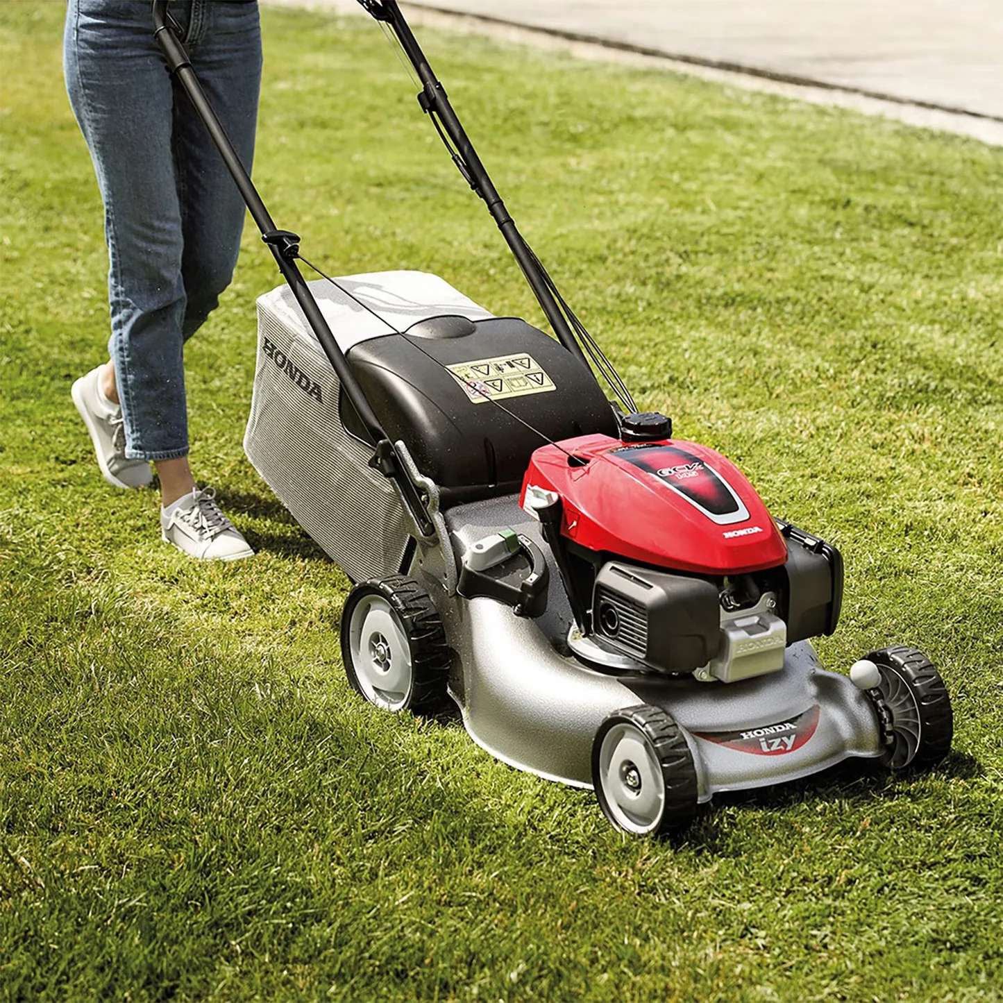 Summer Survival Guide: Managing Your Lawn During a Heatwave