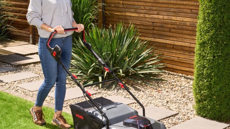 Autumn Lawn Renovation: Scarifying, Aerating & Overseeding for a Thicker Spring Lawn