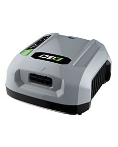 Ego CHX5500E Commercial Charger