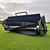 Cobra Fortis 25 Sports Turf Brush