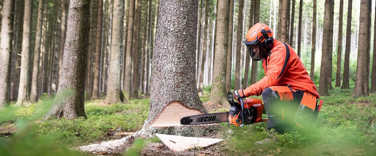 CS-7310SX 70cm Professional Petrol Chainsaw by Echo CS-7310SX 70cm Professional Petrol Chainsaw by Echo