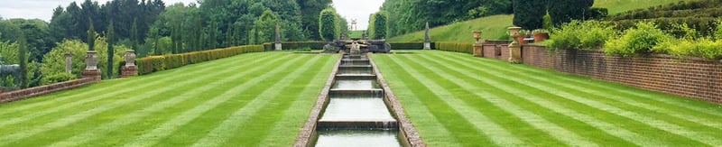 Striped lawn