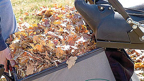 Top Loading Bag